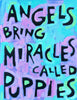 Angels bring miracles called puppies